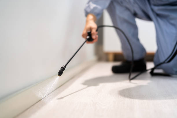 Licensed Termite Control service in North Kingsville, OH - Show Me Pest Control